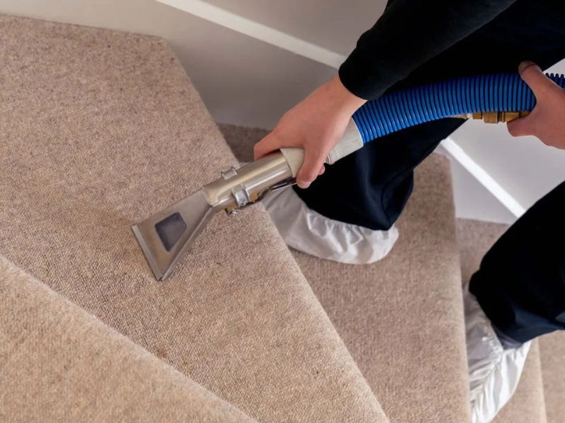 carpet cleaning West Sussex